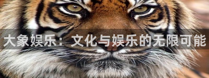 极悦娱乐下载入口：大象娱乐：文化与娱乐的无限可能