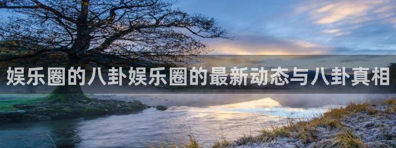 上海极悦娱乐汽车电子有限公司：娱乐圈的八卦娱乐圈的最新动态与八卦真相