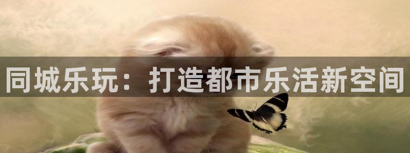 极悦娱乐4平台注册：同城乐玩：打造都市乐活新空间