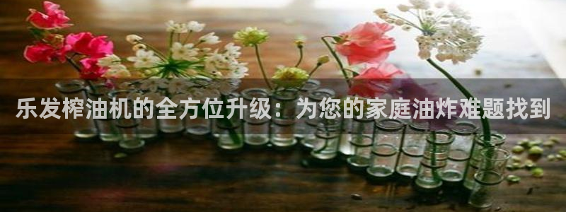 极悦娱乐平台招商：乐发榨油机的全方位升级：为您的家庭油炸难题找到