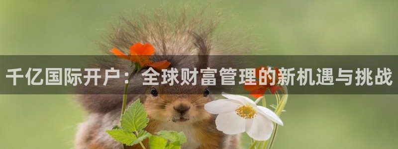 极悦娱乐那个爆率高：千亿国际开户：全球财富管理的新机遇与挑战