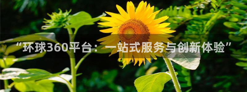 极悦娱乐招商：“环球360平台：一站式服务与创新体验”