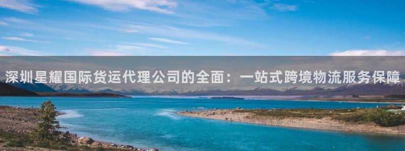 南宫极悦娱乐官网版：深圳星耀国际货运代理公司的全面：一站式跨境物流服务保障