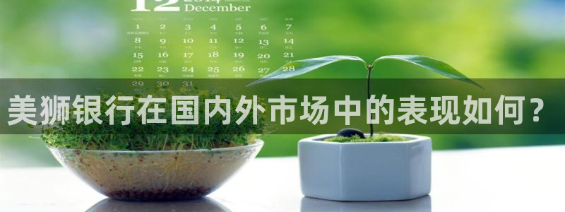 极悦娱乐4代理：美狮银行在国内外市场中的表现如何？