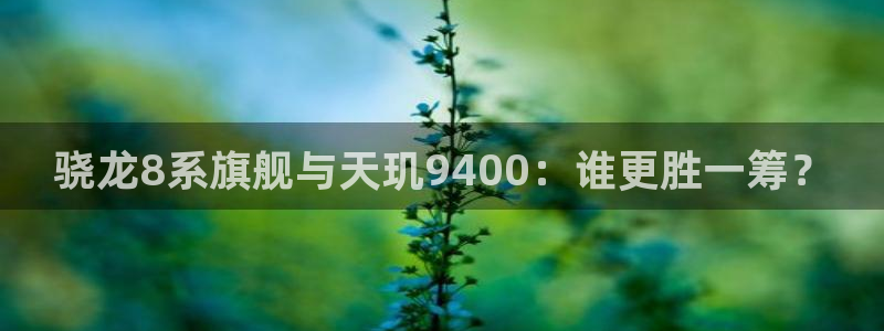 极悦娱乐平台在线注册：骁龙8系旗舰与天玑9400：谁更胜一筹？