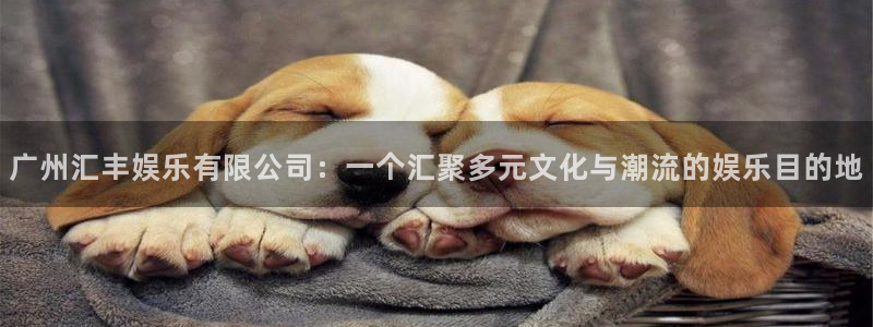 极悦娱乐账号注册入口：广州汇丰娱乐有限公司：一个汇聚多元文化与潮流的娱乐目的地