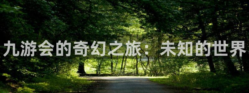 极悦娱乐游戏官网平台：九游会的奇幻之旅：未知的世界