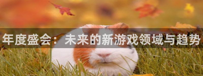 极悦娱乐2平台：年度盛会：未来的新游戏领域与趋势