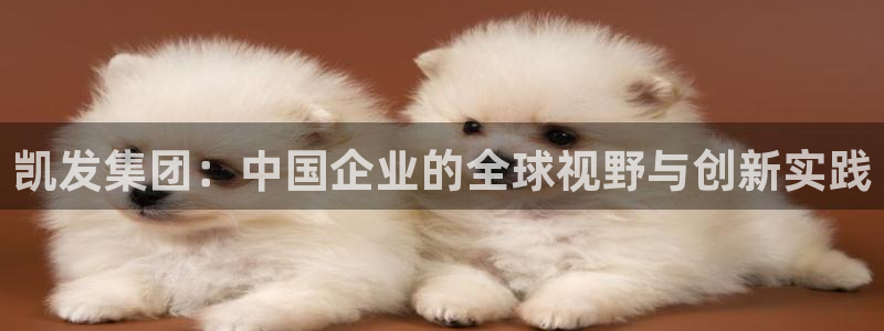 极悦娱乐网站平台：凯发集团：中国企业的全球视野与创新实践
