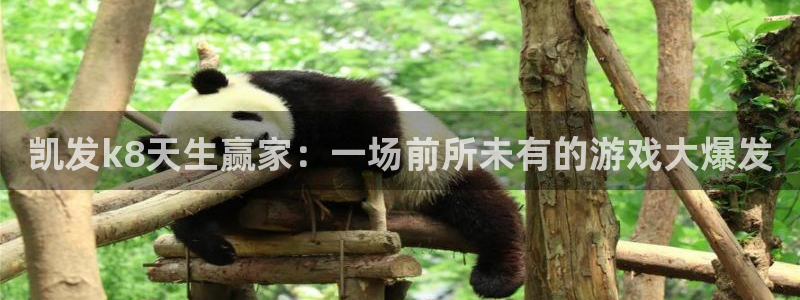 极悦娱乐f平台注册：凯发k8天生赢家：一场前所未有的游戏大爆发