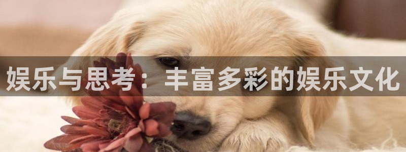 极悦娱乐集团总部：娱乐与思考：丰富多彩的娱乐文化