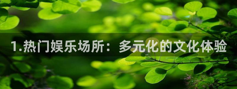 极悦娱乐4代理：1.热门娱乐场所：多元化的文化体验