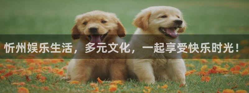 极悦娱乐账号注册：忻州娱乐生活，多元文化，一起享受快乐时光！
