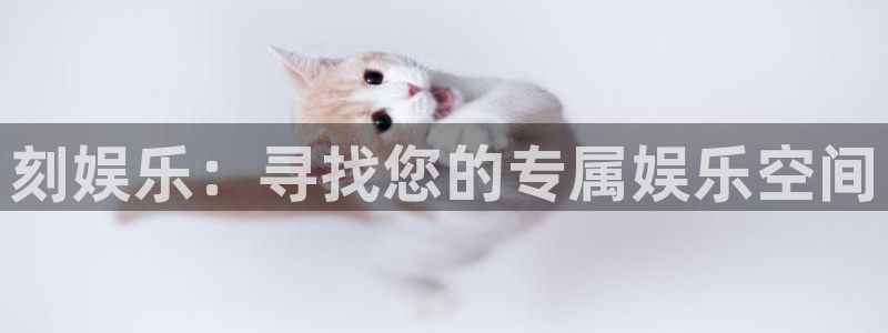 极悦娱乐体育代理申请流程：刻娱乐：寻找您的专属娱乐空间