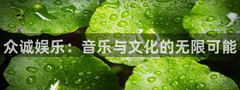 极悦娱乐官网：众诚娱乐：音乐与文化的无限可能