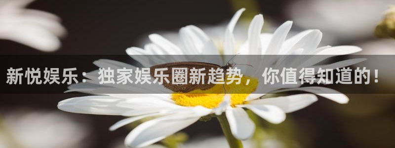 极悦娱乐体育老板是谁：新悦娱乐：独家娱乐圈新趋势，你值得知道的！