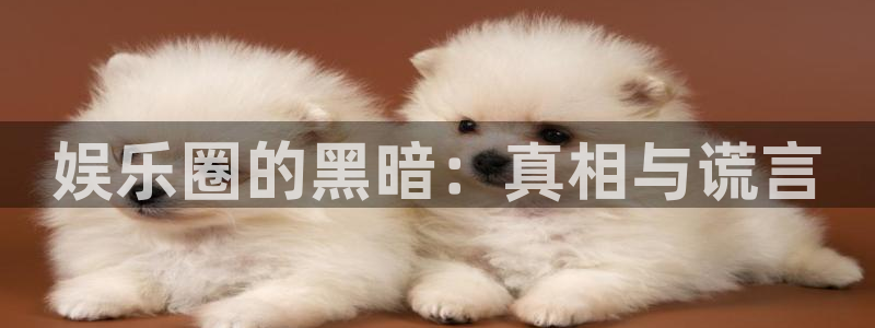 www.极悦娱乐体育.com：娱乐圈的黑暗：真相与谎言