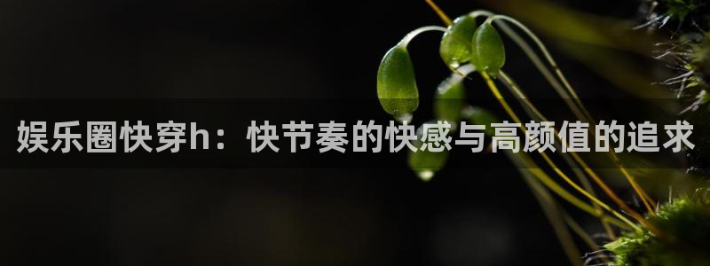 极悦娱乐4平台注册：娱乐圈快穿h：快节奏的快感与高颜值的追求