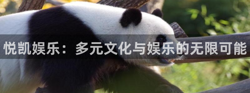 极悦娱乐k：悦凯娱乐：多元文化与娱乐的无限可能