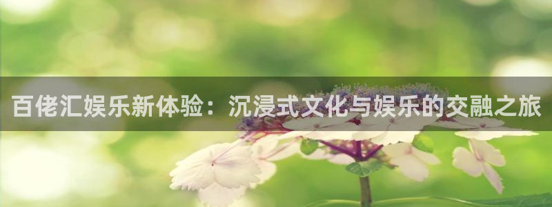 www.极悦娱乐体育.com：百佬汇娱乐新体验：沉浸式文化与娱乐的交融之旅
