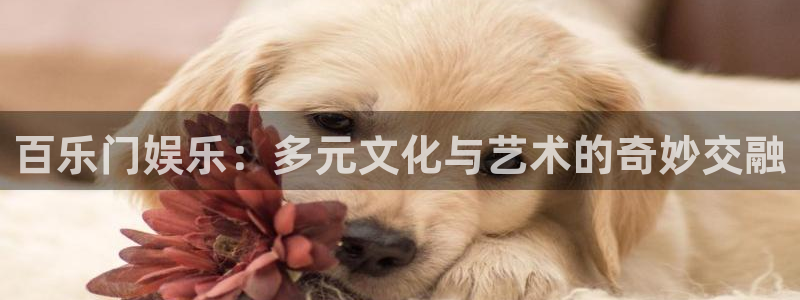 极悦娱乐官网版：百乐门娱乐：多元文化与艺术的奇妙交融