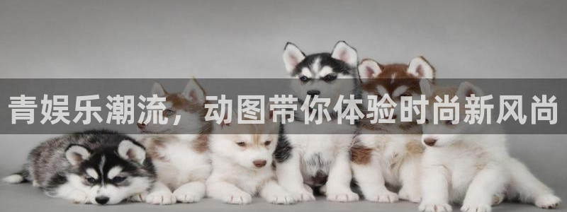 极悦娱乐体育app下载：青娱乐潮流，动图带你体验时尚新风尚