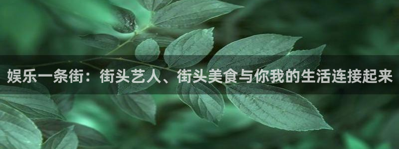 极悦娱乐平台下载入口：娱乐一条街：街头艺人、街头美食与你我的生活连接起来