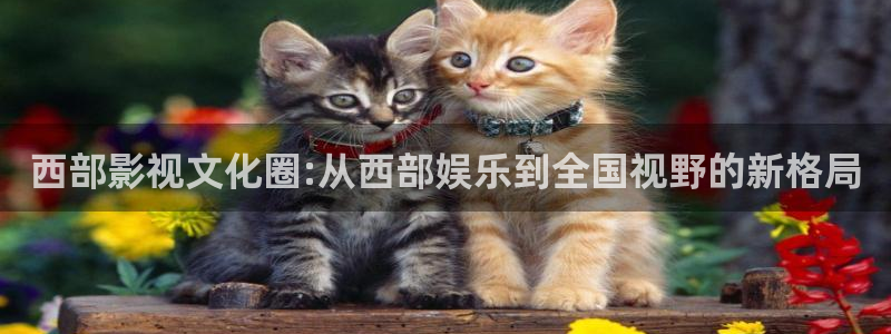 极悦娱乐体育老板是谁