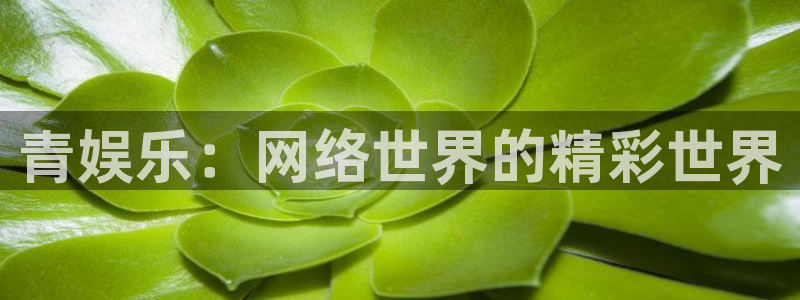 极悦娱乐3官网：青娱乐：网络世界的精彩世界