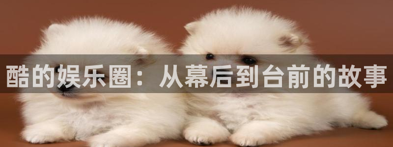 极悦娱乐平台官方入口：酷的娱乐圈：从幕后到台前的故事