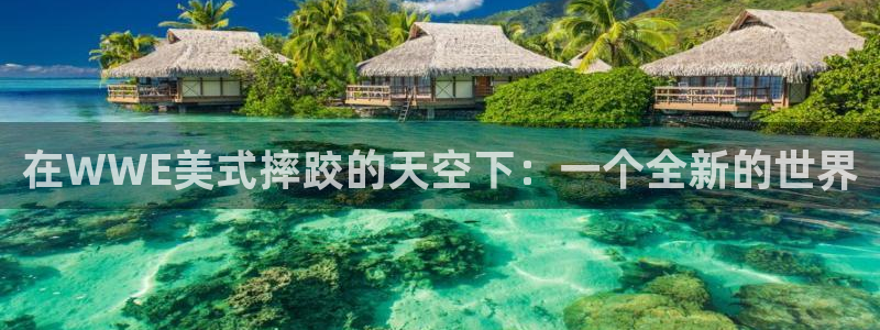 极悦娱乐体育注册登录入口：在WWE美式摔跤的天空下：一个全新的世界